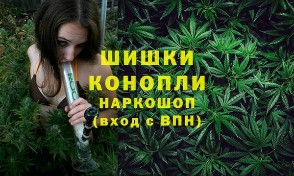 PSILOCYBIN Балахна