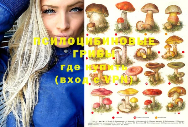 PSILOCYBIN Балахна
