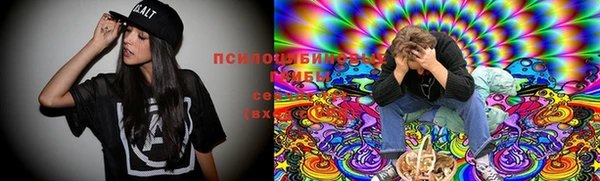 стафф Баксан