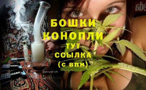 PSILOCYBIN Балахна