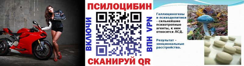 Псилоцибиновые грибы Cubensis  продажа наркотиков  Власиха 