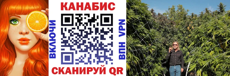 Шишки марихуана VHQ  Власиха 